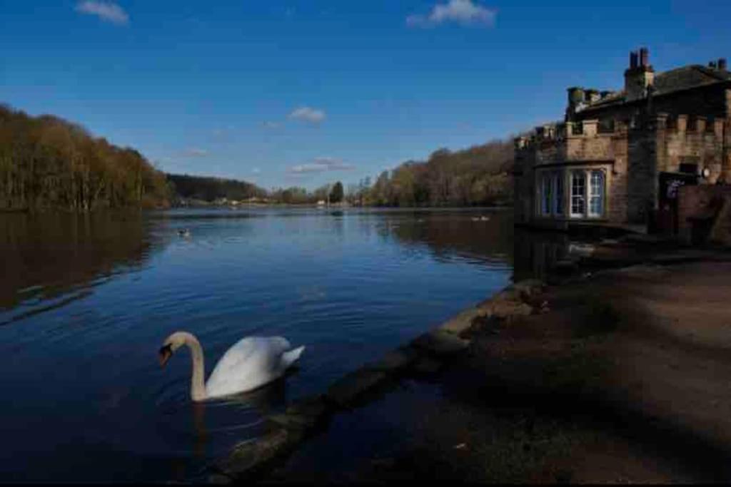 Millstone Cottage Newmillerdam Hill Top ภายนอก รูปภาพ